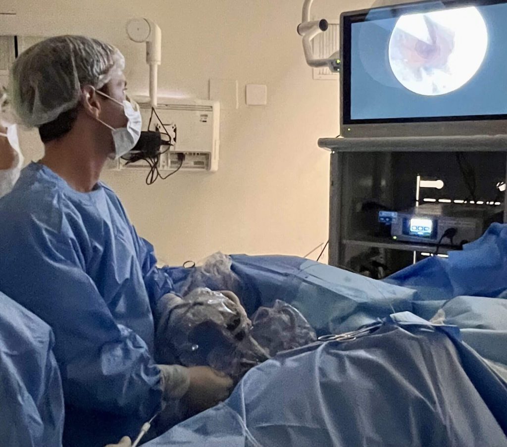 Ureterorrenolitotripsia Flexível a Laser